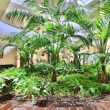 El Nautico San Miguel de Abona