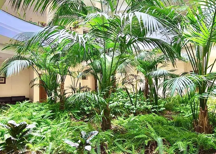 El Nautico سان ميغيل ذي أبونا